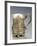 Silver Mug with Cupids and Embossing, London, England-null-Framed Giclee Print