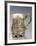 Silver Mug with Cupids and Embossing, London, England-null-Framed Giclee Print