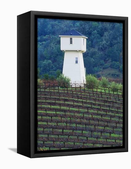 Silver Oak Cellars, Alexander Valley Wine Country, California-John Alves-Framed Premier Image Canvas