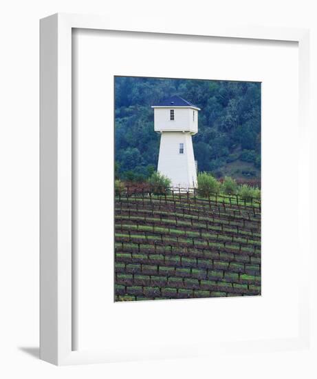 Silver Oak Cellars, Alexander Valley Wine Country, California-John Alves-Framed Photographic Print