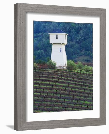 Silver Oak Cellars, Alexander Valley Wine Country, California-John Alves-Framed Photographic Print