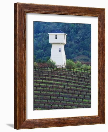 Silver Oak Cellars, Alexander Valley Wine Country, California-John Alves-Framed Photographic Print