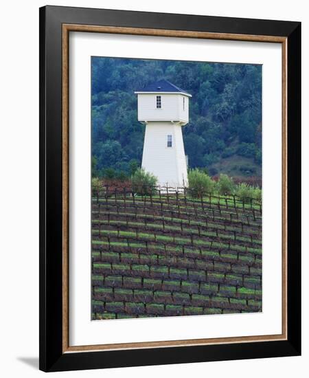 Silver Oak Cellars, Alexander Valley Wine Country, California-John Alves-Framed Photographic Print