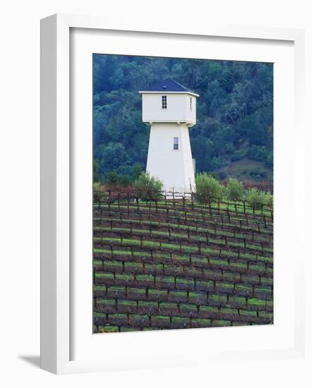 Silver Oak Cellars, Alexander Valley Wine Country, California-John Alves-Framed Photographic Print