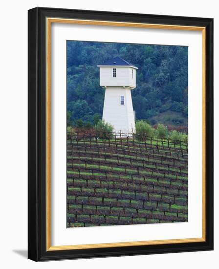 Silver Oak Cellars, Alexander Valley Wine Country, California-John Alves-Framed Photographic Print