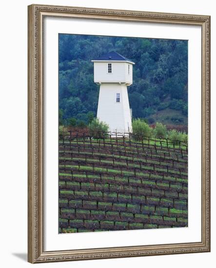 Silver Oak Cellars, Alexander Valley Wine Country, California-John Alves-Framed Photographic Print