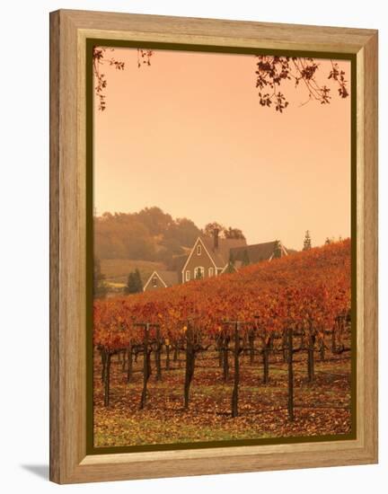Silver Oak Cellars Winery and Vineyard, Alexander Valley, Mendocino County, California, USA-John Alves-Framed Premier Image Canvas