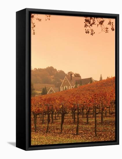 Silver Oak Cellars Winery and Vineyard, Alexander Valley, Mendocino County, California, USA-John Alves-Framed Premier Image Canvas