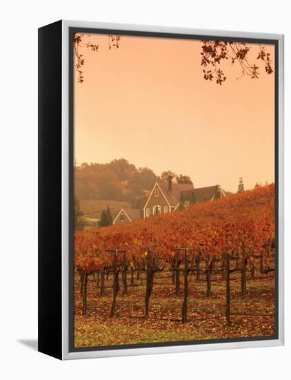 Silver Oak Cellars Winery and Vineyard, Alexander Valley, Mendocino County, California, USA-John Alves-Framed Premier Image Canvas