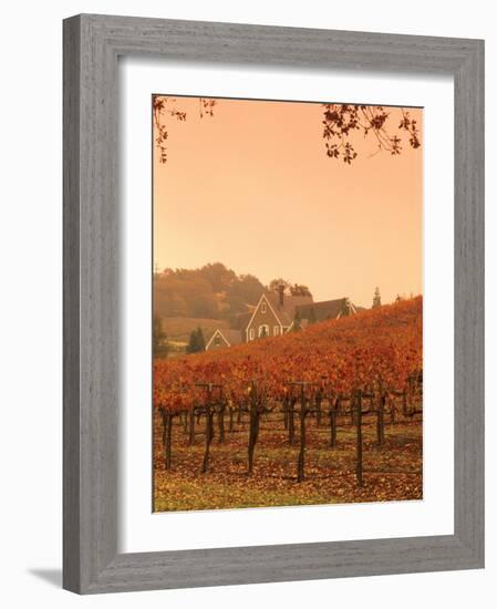 Silver Oak Cellars Winery and Vineyard, Alexander Valley, Mendocino County, California, USA-John Alves-Framed Photographic Print