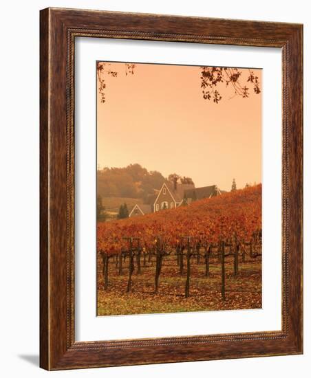 Silver Oak Cellars Winery and Vineyard, Alexander Valley, Mendocino County, California, USA-John Alves-Framed Photographic Print