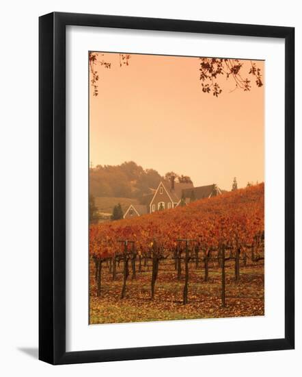 Silver Oak Cellars Winery and Vineyard, Alexander Valley, Mendocino County, California, USA-John Alves-Framed Photographic Print