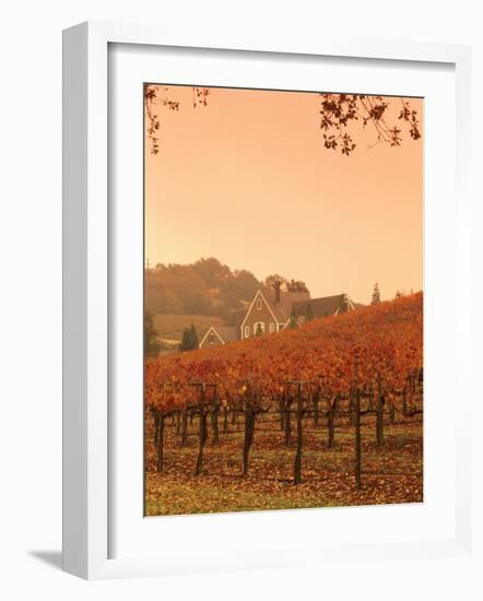 Silver Oak Cellars Winery and Vineyard, Alexander Valley, Mendocino County, California, USA-John Alves-Framed Photographic Print