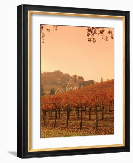 Silver Oak Cellars Winery and Vineyard, Alexander Valley, Mendocino County, California, USA-John Alves-Framed Photographic Print