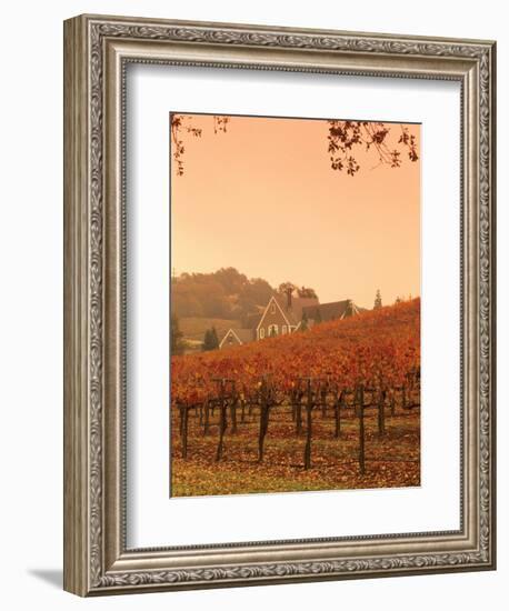 Silver Oak Cellars Winery and Vineyard, Alexander Valley, Mendocino County, California, USA-John Alves-Framed Photographic Print