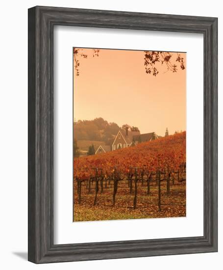 Silver Oak Cellars Winery and Vineyard, Alexander Valley, Mendocino County, California, USA-John Alves-Framed Photographic Print