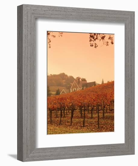 Silver Oak Cellars Winery and Vineyard, Alexander Valley, Mendocino County, California, USA-John Alves-Framed Photographic Print