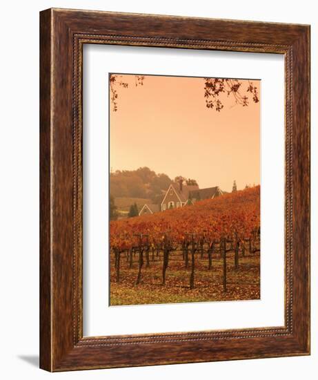 Silver Oak Cellars Winery and Vineyard, Alexander Valley, Mendocino County, California, USA-John Alves-Framed Photographic Print