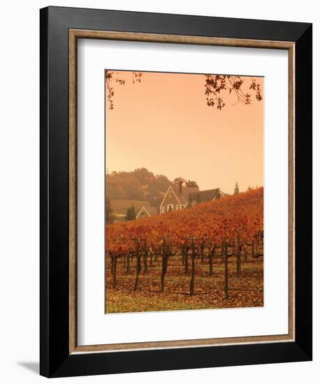 Silver Oak Cellars Winery and Vineyard, Alexander Valley, Mendocino County, California, USA-John Alves-Framed Photographic Print