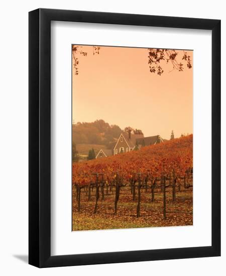 Silver Oak Cellars Winery and Vineyard, Alexander Valley, Mendocino County, California, USA-John Alves-Framed Photographic Print