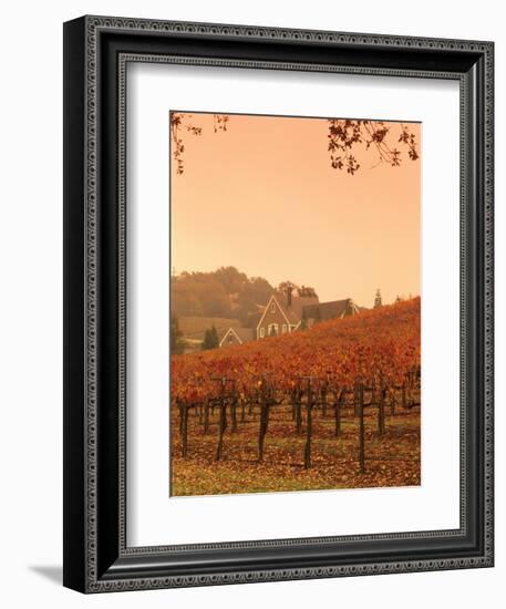 Silver Oak Cellars Winery and Vineyard, Alexander Valley, Mendocino County, California, USA-John Alves-Framed Photographic Print