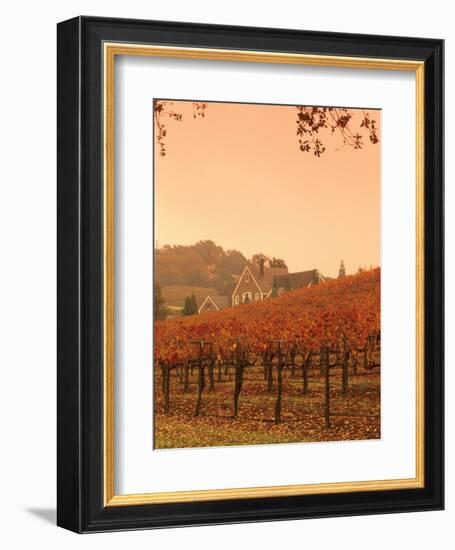 Silver Oak Cellars Winery and Vineyard, Alexander Valley, Mendocino County, California, USA-John Alves-Framed Photographic Print