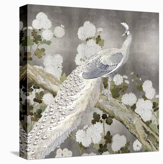 Silver Peacock-Mark Chandon-Framed Stretched Canvas