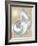 Silver Pearl Shell on Gold I-Caroline Kelly-Framed Art Print