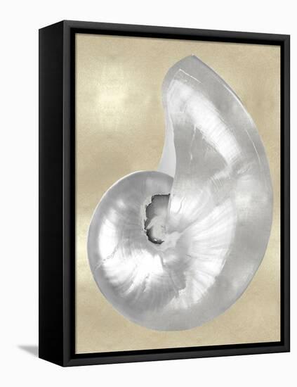 Silver Pearl Shell on Gold I-Caroline Kelly-Framed Stretched Canvas