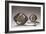 Silver Plates and Spoons-null-Framed Giclee Print