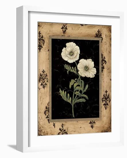 Silver Poppy-Regina-Andrew Design-Framed Art Print