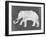 Silver Raja Elephant II-Sue Schlabach-Framed Art Print