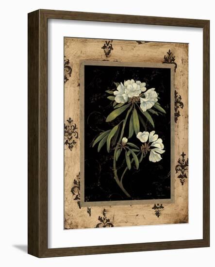 Silver Rhododendron-Regina-Andrew Design-Framed Art Print