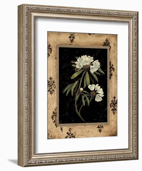 Silver Rhododendron-Regina-Andrew Design-Framed Art Print