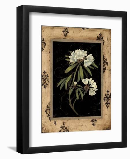 Silver Rhododendron-Regina-Andrew Design-Framed Art Print