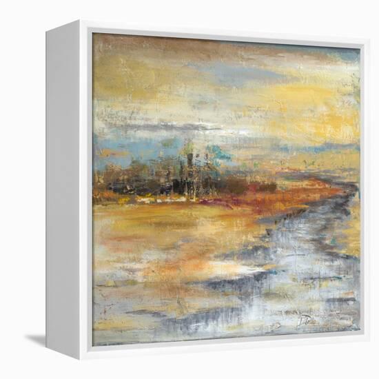 Silver River I-Patricia Pinto-Framed Stretched Canvas