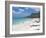 Silver Sand Beach with Turquoise Sea, Havelock Island, Andaman Islands, India, Indian Ocean, Asia-Michael Runkel-Framed Photographic Print