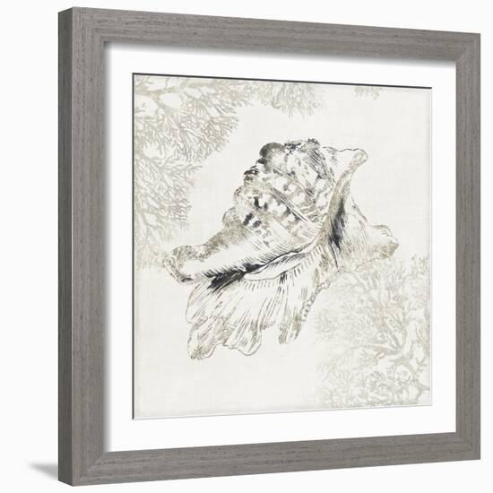 Silver Shell I-Aimee Wilson-Framed Art Print