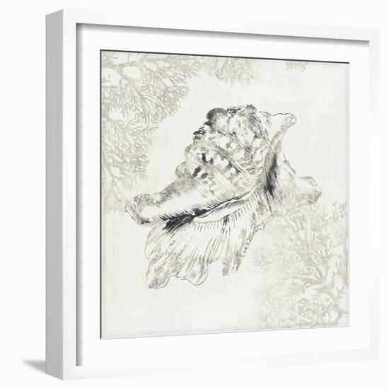 Silver Shell I-Aimee Wilson-Framed Art Print