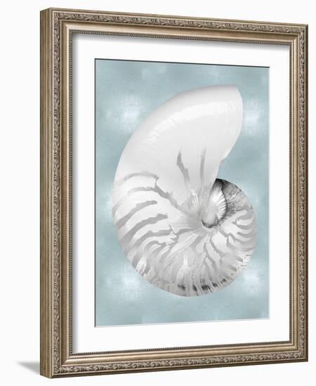 Silver Shell on Aqua Blue II-Caroline Kelly-Framed Art Print