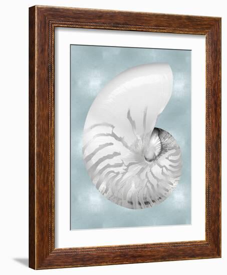 Silver Shell on Aqua Blue II-Caroline Kelly-Framed Art Print