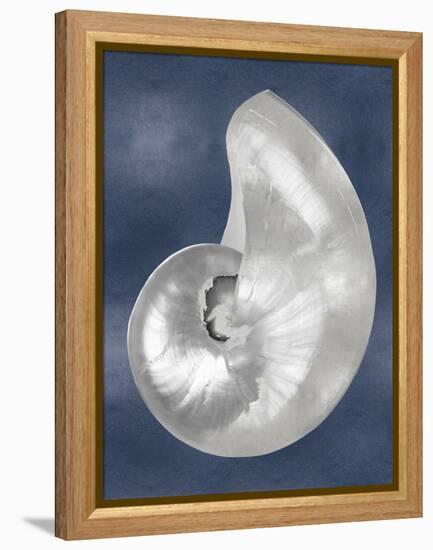 Silver Shell on Indigo Blue I-Caroline Kelly-Framed Stretched Canvas