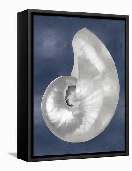 Silver Shell on Indigo Blue I-Caroline Kelly-Framed Stretched Canvas