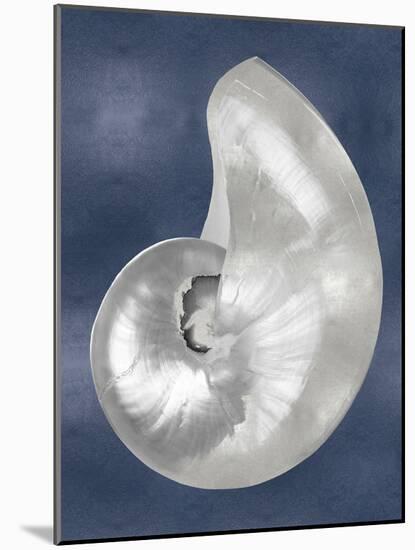 Silver Shell on Indigo Blue I-Caroline Kelly-Mounted Art Print