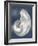 Silver Shell on Indigo Blue I-Caroline Kelly-Framed Art Print