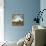 Silver Skies II-Georges Generali-Mounted Giclee Print displayed on a wall
