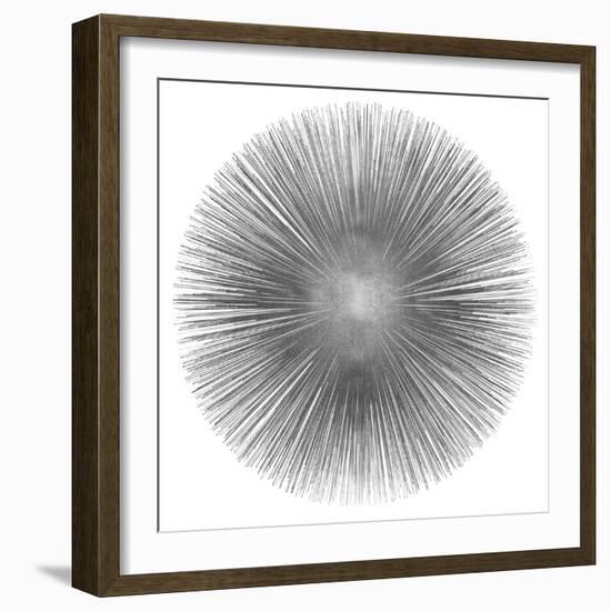 Silver Sunburst I-Abby Young-Framed Art Print