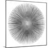 Silver Sunburst I-Abby Young-Mounted Art Print