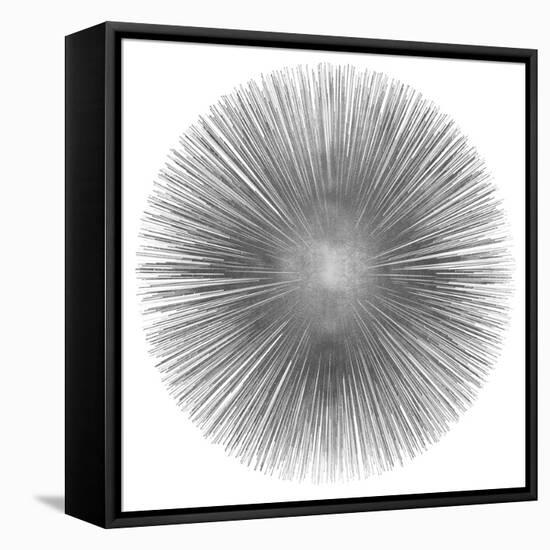 Silver Sunburst I-Abby Young-Framed Stretched Canvas