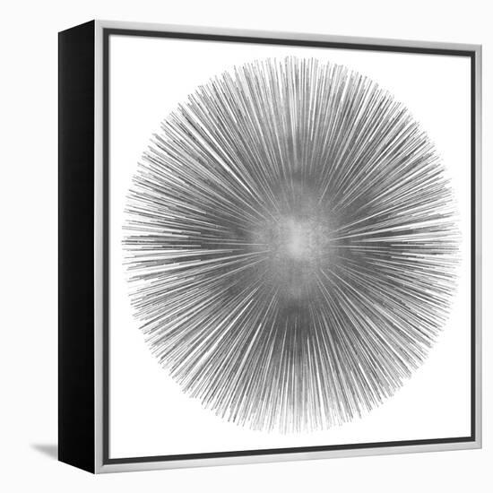 Silver Sunburst I-Abby Young-Framed Stretched Canvas